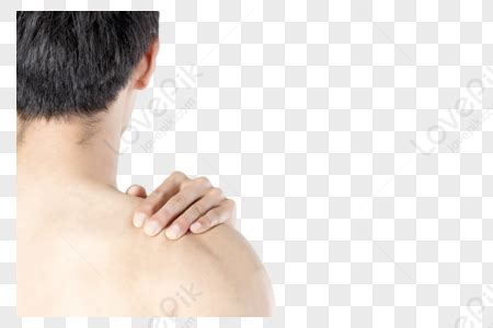 shoulder  neck png images  transparent background