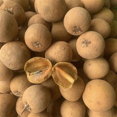 Sapota - 1Kg - Magic Farms