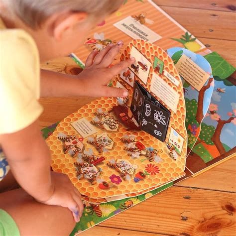 В книге вы узнаете все про жизнь пчел: ⠀ 🐝Какие бывают пчелы 🐝Как ...