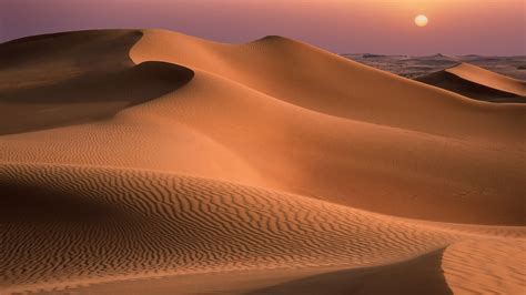 Sand Dunes Sunset