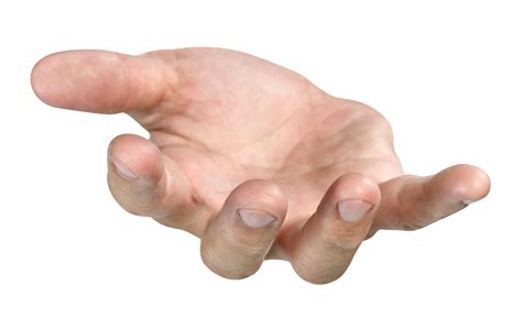 open the palm of the hand isolated 22207325 PNG