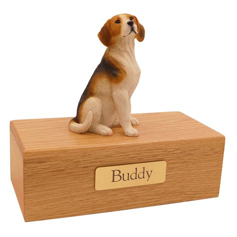 Professional and Compassionate Services at Simply Cremation 29