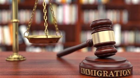 Navigating the Immigration and Protection Tribunal System