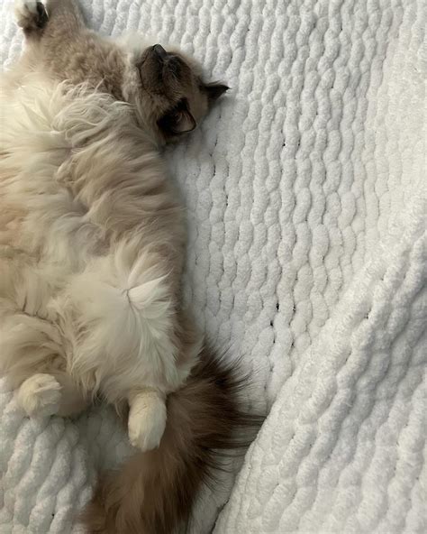 karli grzegorczyk (@karlireese) • Instagram photos and videos