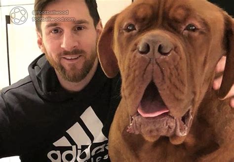 Lionel Messi Dog Type