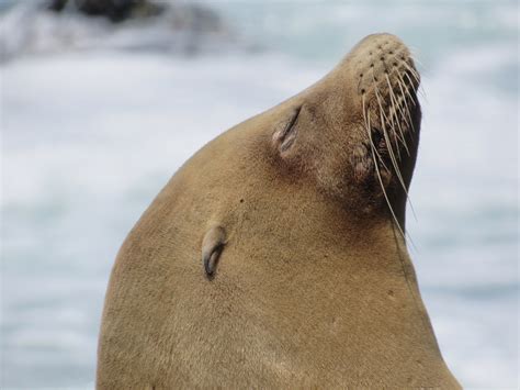 Massage Therapist located in Mishawaka/South Bend area