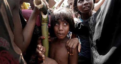 ‘Mounting evidence’ of Rohingya genocide - Mohammadi News Agency