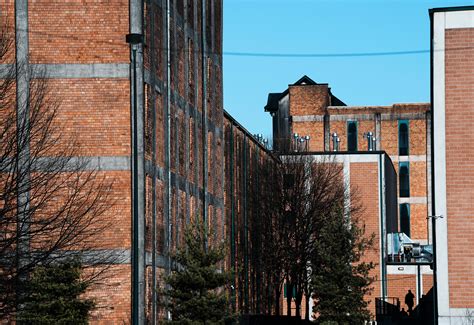 Journalists explain the deep investigation in louisville newspaper courier journal 2