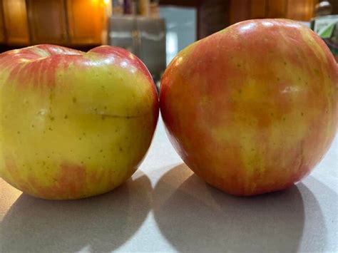 The Perfect Gift: DIY Apple Pie in a Jar for Homemade Treats - Minneopa Orchards