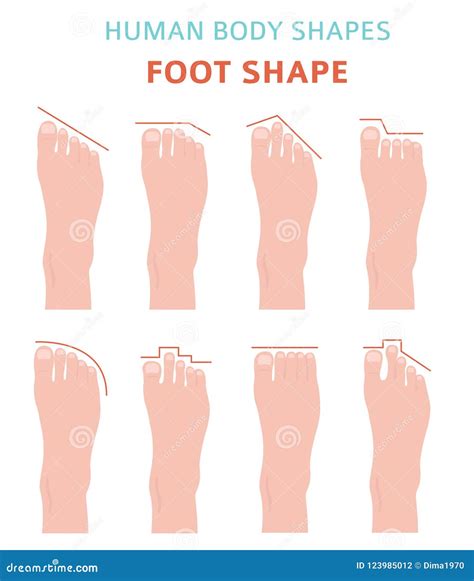 The Science Behind Perfectly Shaped Feet - Sophie Rain Club Portal - Featured Image