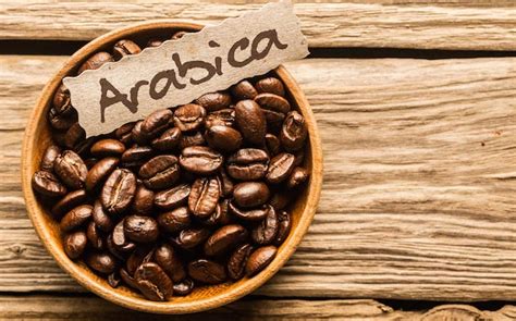 Arabica Coffee | Cubico Coffee