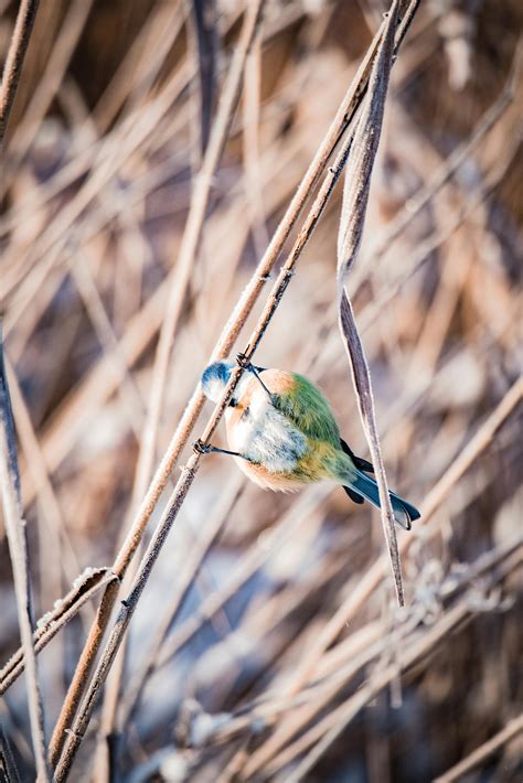 Little Perky Tits Photos, Download The BEST Free Little Perky Tits