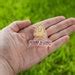 Sesame Allergy I Carry an Epipen Medical Alert Pin Food - Etsy