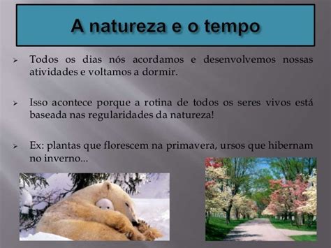 O Tempo Da Natureza