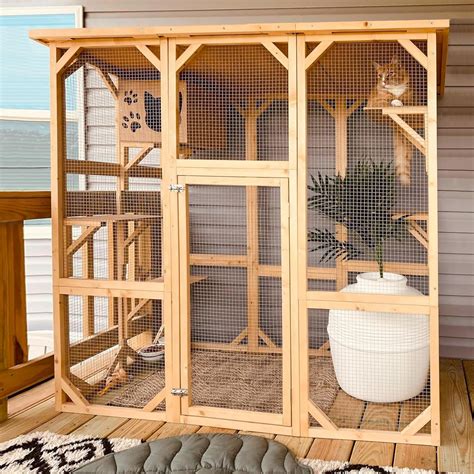 Tucker Murphy Pet™ Euretta Indoor/Outdoor Playpen Catio Outdoor Cat