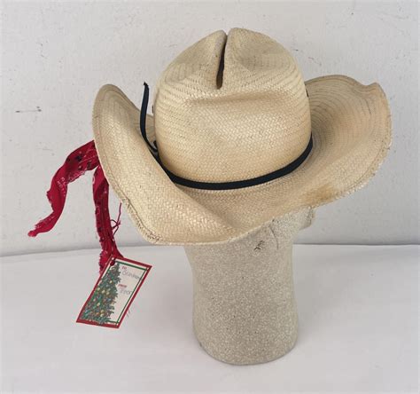 Vintage Stetson Stallion Cowboy Hat