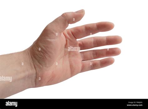 isolate  human hand   white background stock photo alamy