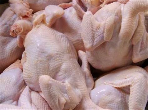 tips pilih ayam segar  pasar