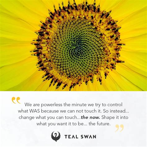 Powerless - Quotes - Teal Swan