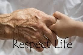 commandment respect human life  church