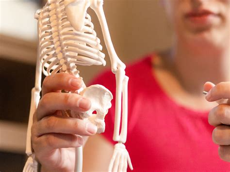 effective solutions   bone density iaomai health