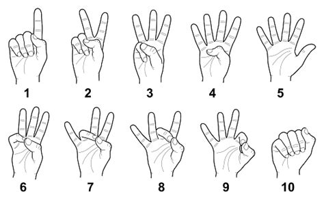 Hand Sign Language Numbers Stock Illustration - Download Image Now - iStock