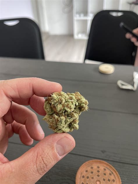 Discover more like Trees: Crazy looking Mimosa and Related Content