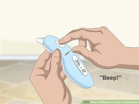 The Dog Parent's Essential Guide: How To Safely Measure Your Furry Friend's Fever