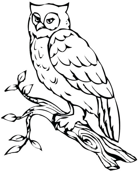 Snowy Owl Coloring Page at GetColorings.com | Free printable colorings ...