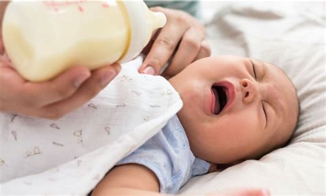 Breastfed baby refusing the bottle? Evidence-based study - Suzy Lane