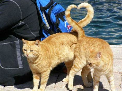33 More Perfectly Timed Photos | Bored Panda