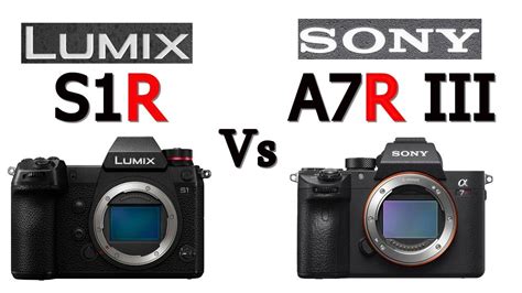 Panasonic Lumix S1R vs. Sony A7R III: Which pixel-shift powerhouse is ...