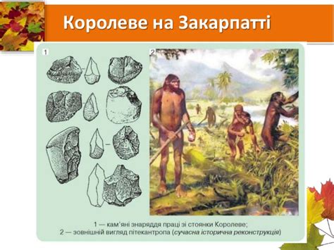 Історія, 6 клас, Королевська стоянка, палеоліт