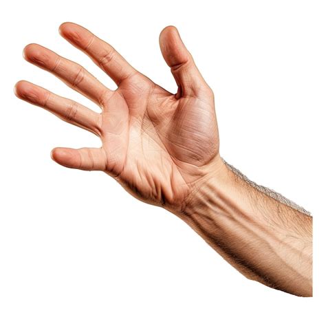 main png psd   modeles psd gratuits de haute qualite  telecharger