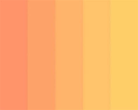Download Peach Colour Pictures | Wallpapers.com
