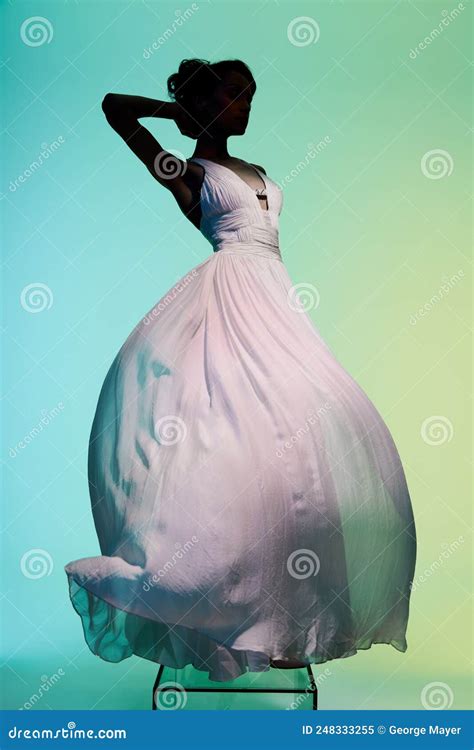 Beautiful Young Lady Posing in a Photo Studio in a Chic Dress. Model in ...