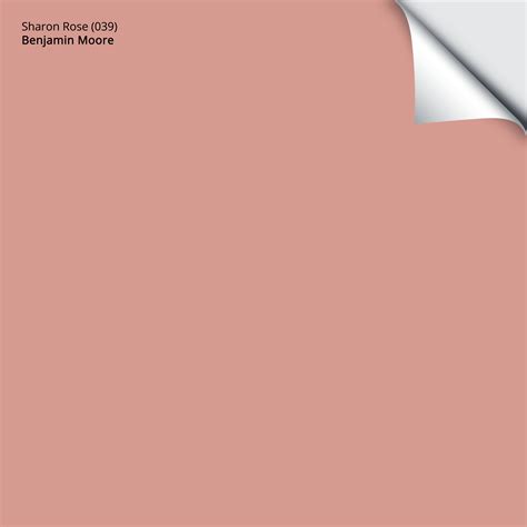 Sharon Rose (039): 9"x14.75" – Benjamin Moore x Samplize