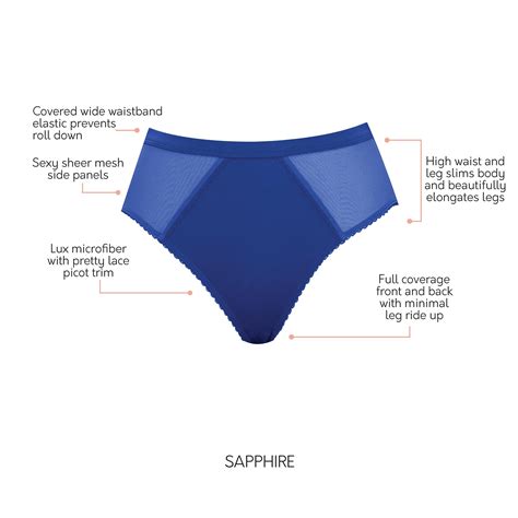 PARFAIT Micro Dressy PP306 French Cut High Waisted Sexy Sheer Panties