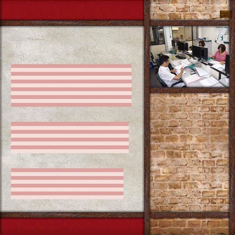 Relatório de Gestão 2010 - Unimed Goiânia