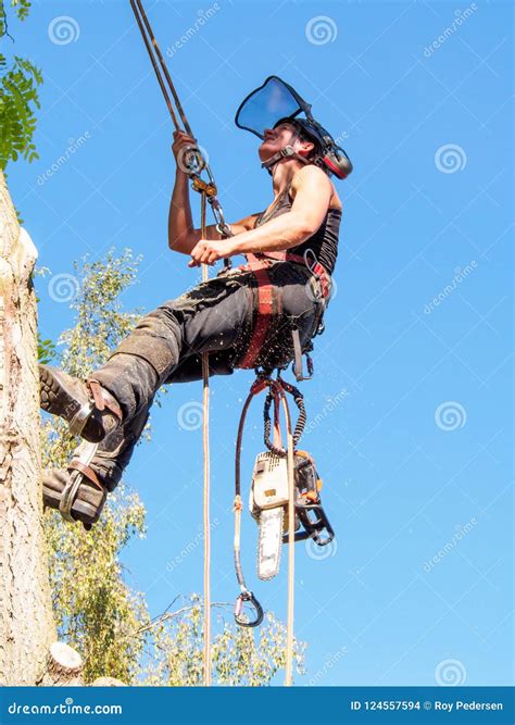 Checking safety ropes stock photo. Image of equipment - 124557594