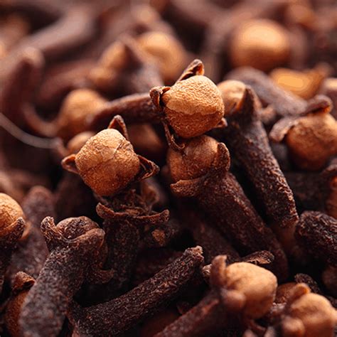 cloves adco prime