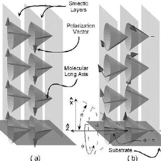 evolution   optical axis relative   layer normal