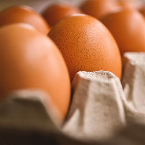 recettes avec des oeufs gastronomico
