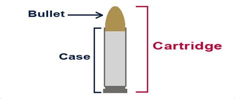 What is rimfire ammo? First Time Gun Buyer explains.