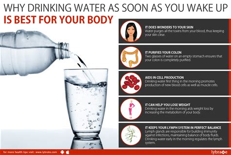 How Does Drinking Water Help You Lose Weight | Examples and Forms