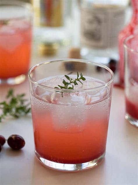 24 Gin and Tonic Recipes that Transform the Classic - An Unblurred Lady