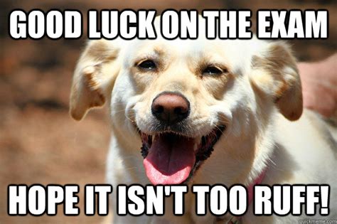 Good luck on the exam Hope it isn't too ruff! - good luck dog - quickmeme