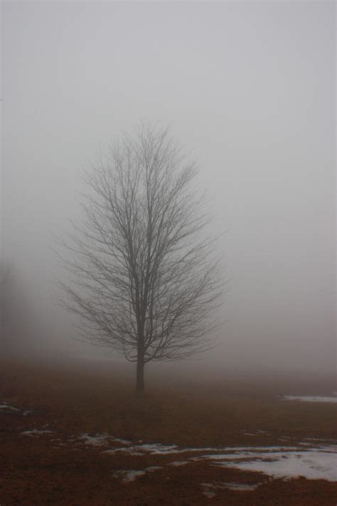 Fog Photograph by Tom Atkins - Fine Art America