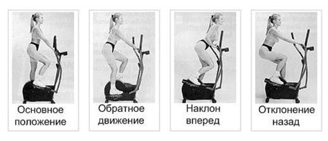 Тренажер эллипсоид: какие мышцы работают, инструкция как правильно ...