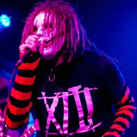 xiii usa discography   biography interviews